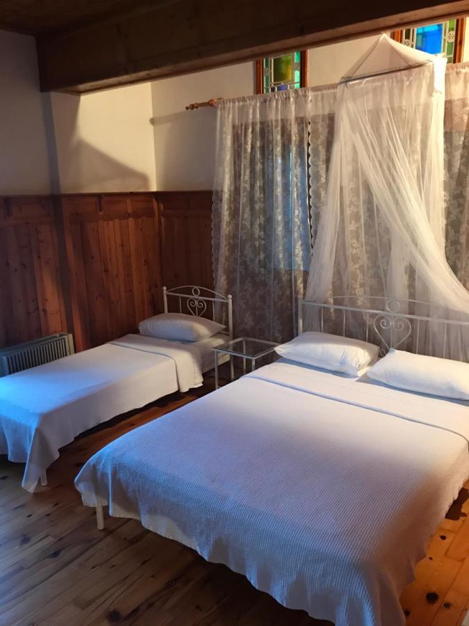 9Mouses Chasiotis Guest House Ampelakia Exterior photo