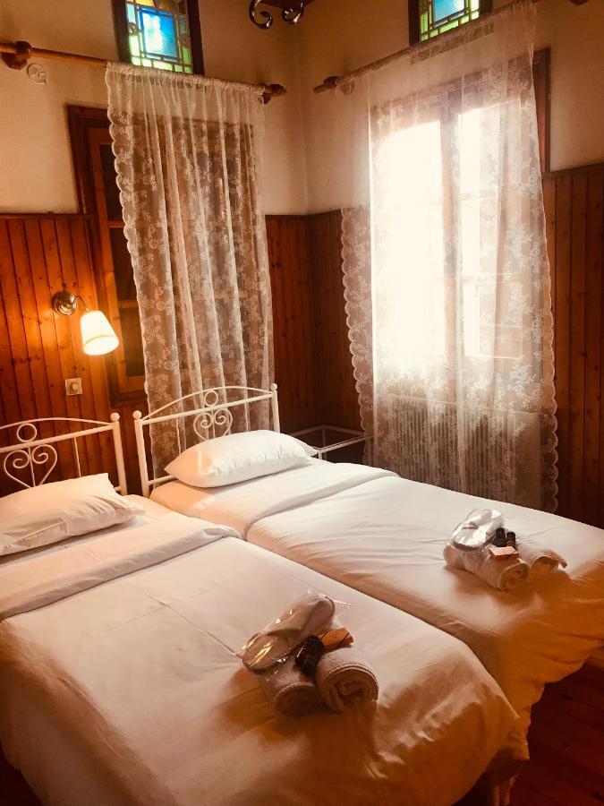 9Mouses Chasiotis Guest House Ampelakia Exterior photo