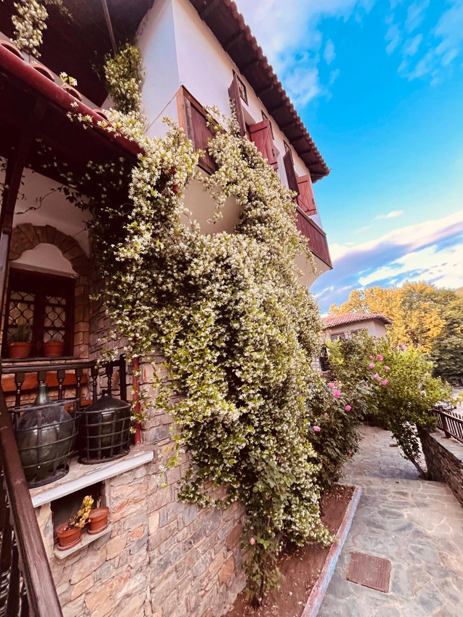 9Mouses Chasiotis Guest House Ampelakia Exterior photo